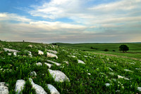 Afternoon in the Flint Hills