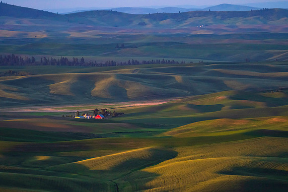 Peace in the Valley