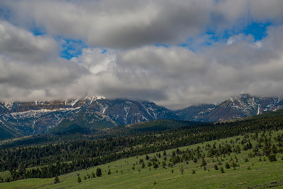 DSC_0711