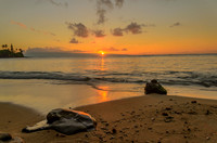 Sea House Beach SunSet